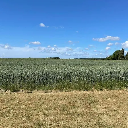 Pet Friendly In With Wifi Holiday home Nexo